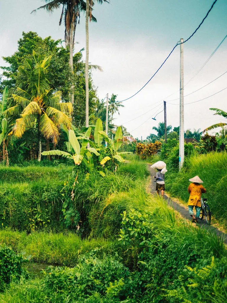 Indonesien – Veloreise durch Bali abseits der Touristenpfade